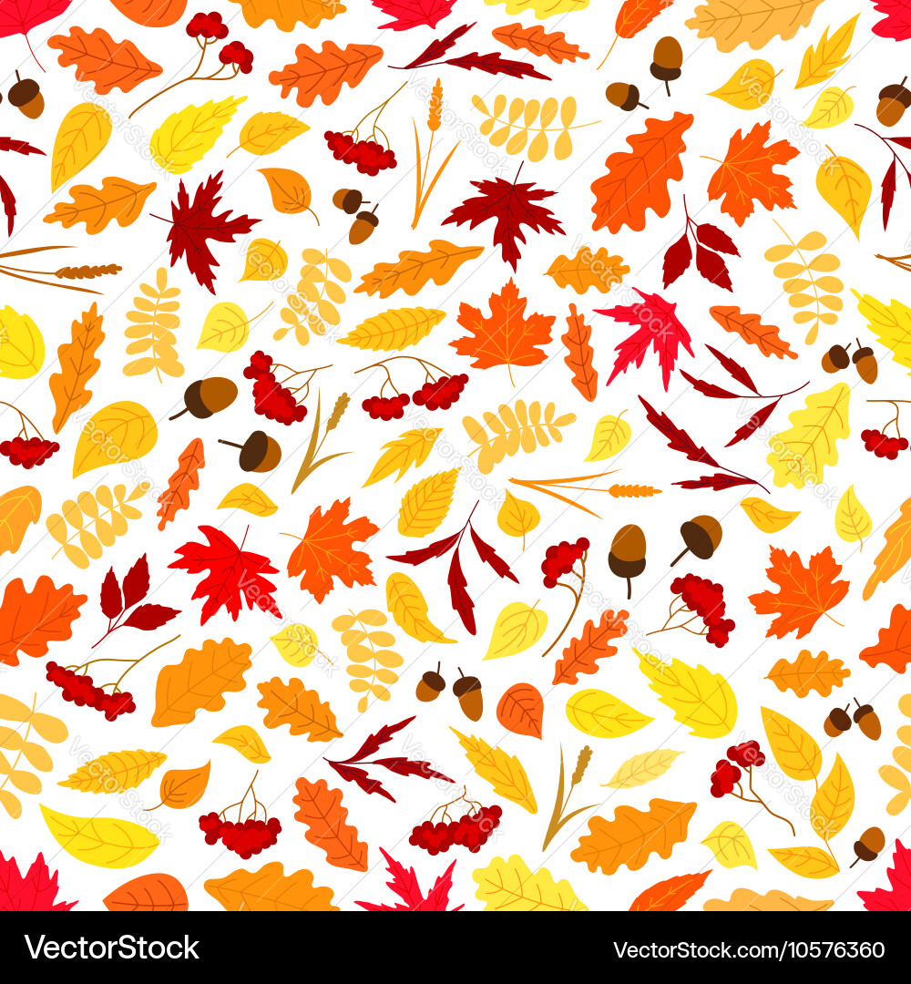 Autumn Leaves and Acorns Pattern vector image