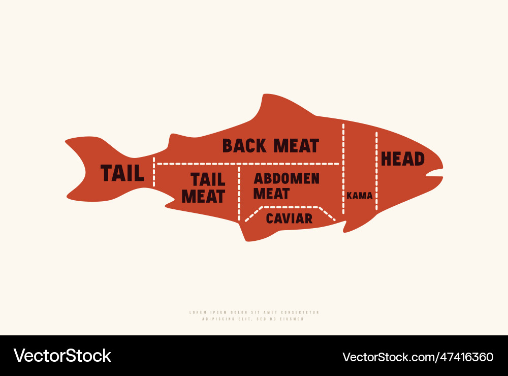 Fish cuts diagram in silhouette style Fish cuts diagram in silhouette style vector image
