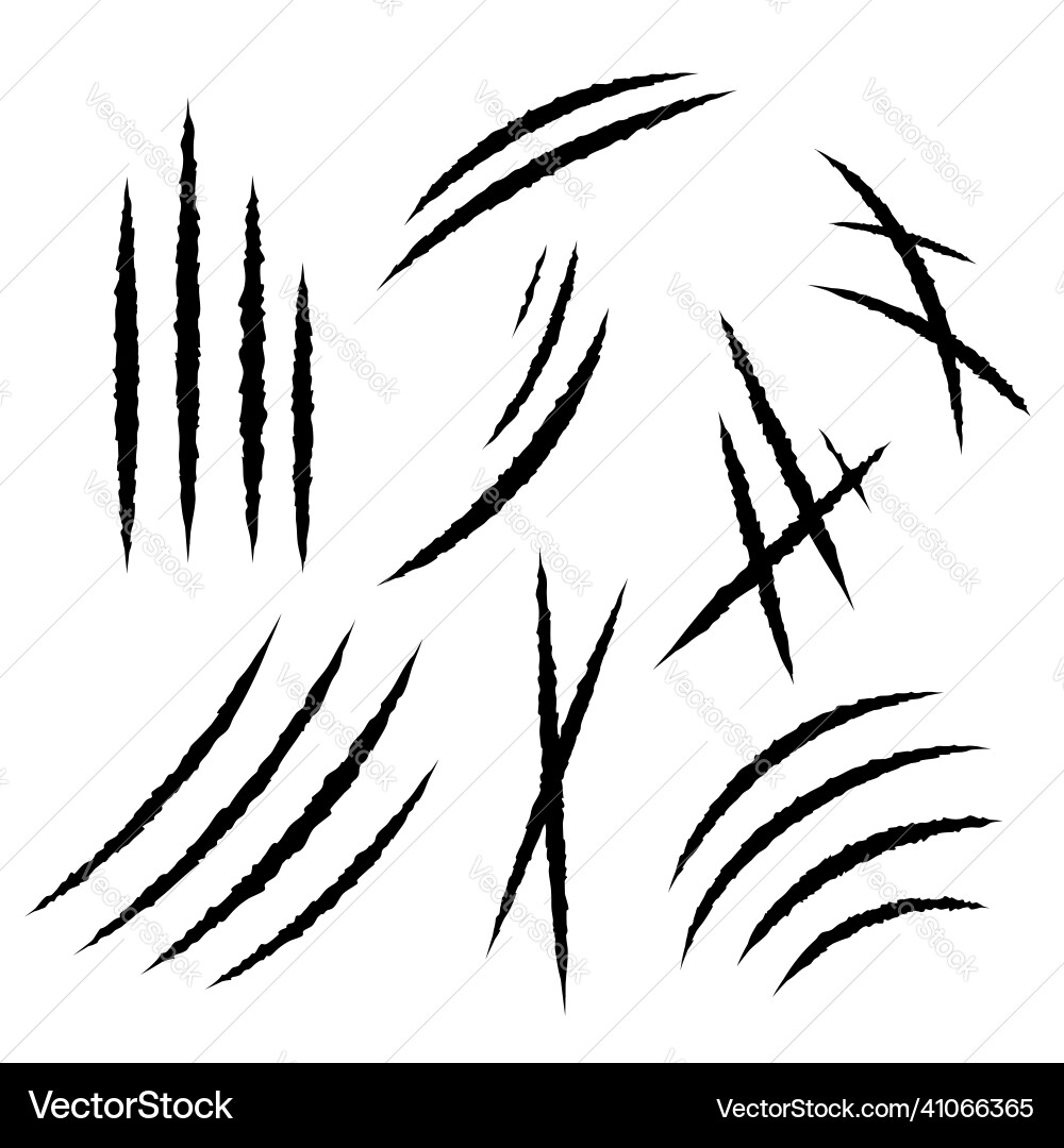 Animal Claw Marks - Scratch Set vector image