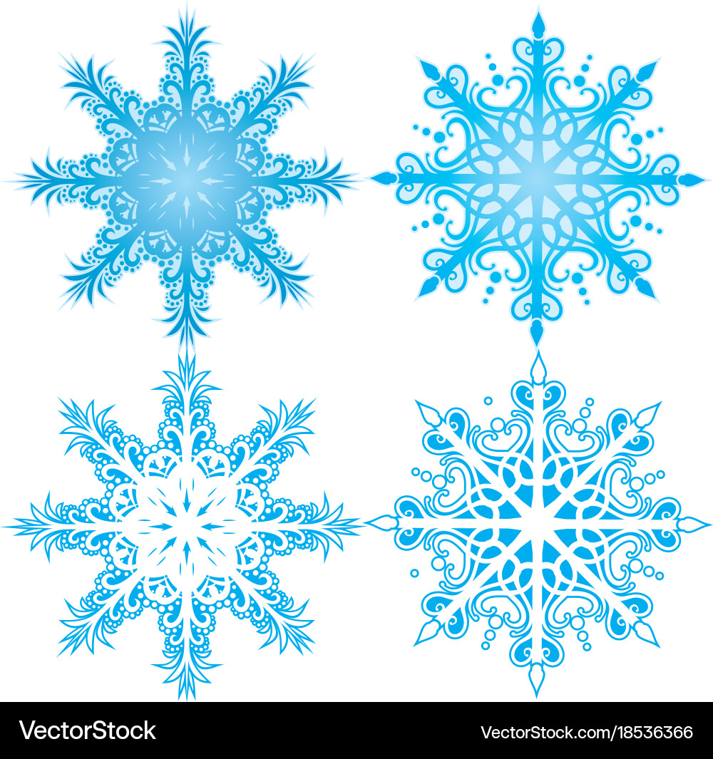 Elegant Snowflake Collection vector image