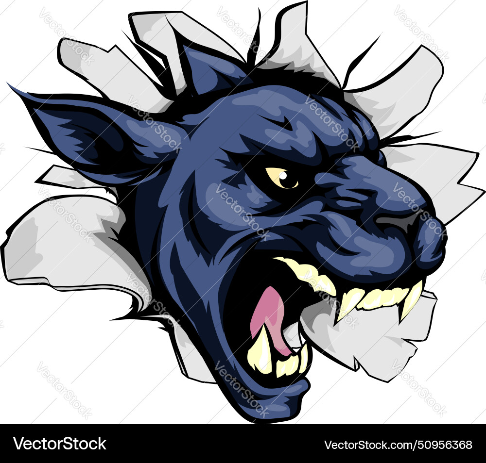 Panther sports mascot breakthrough Panther sports mascot breakthrough vector image