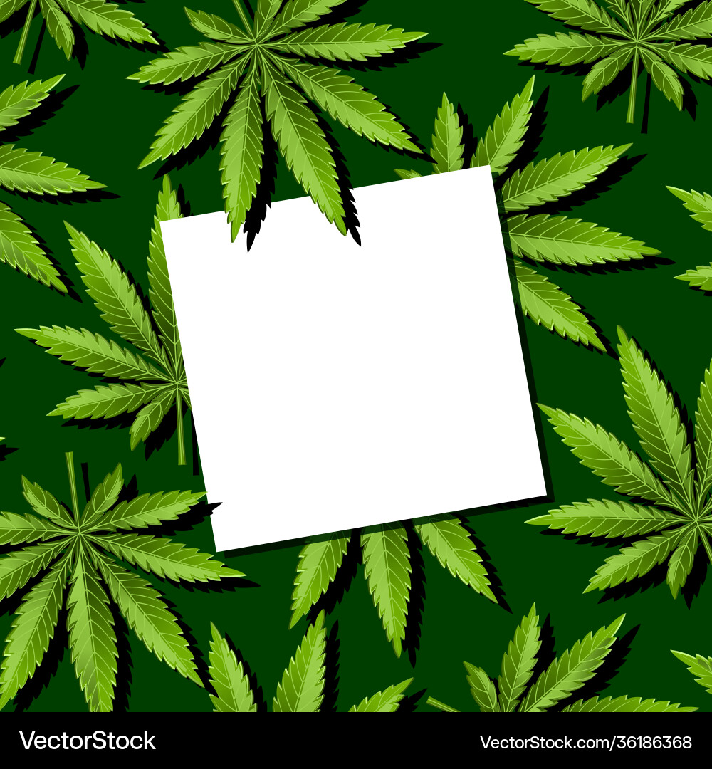 Paper note on marijuana leaves cannabis vector image