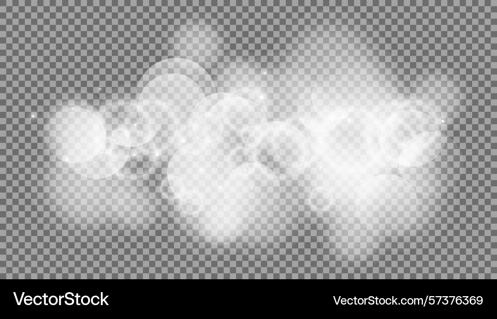 Bokeh circles on transparent background Bokeh circles on transparent background vector image