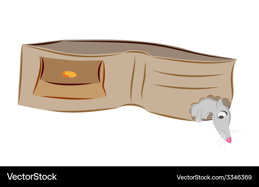 Empty wallet and mouse Vector Image