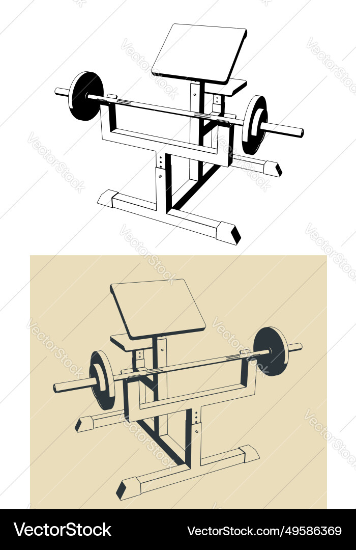 Preacher curl machine vector image