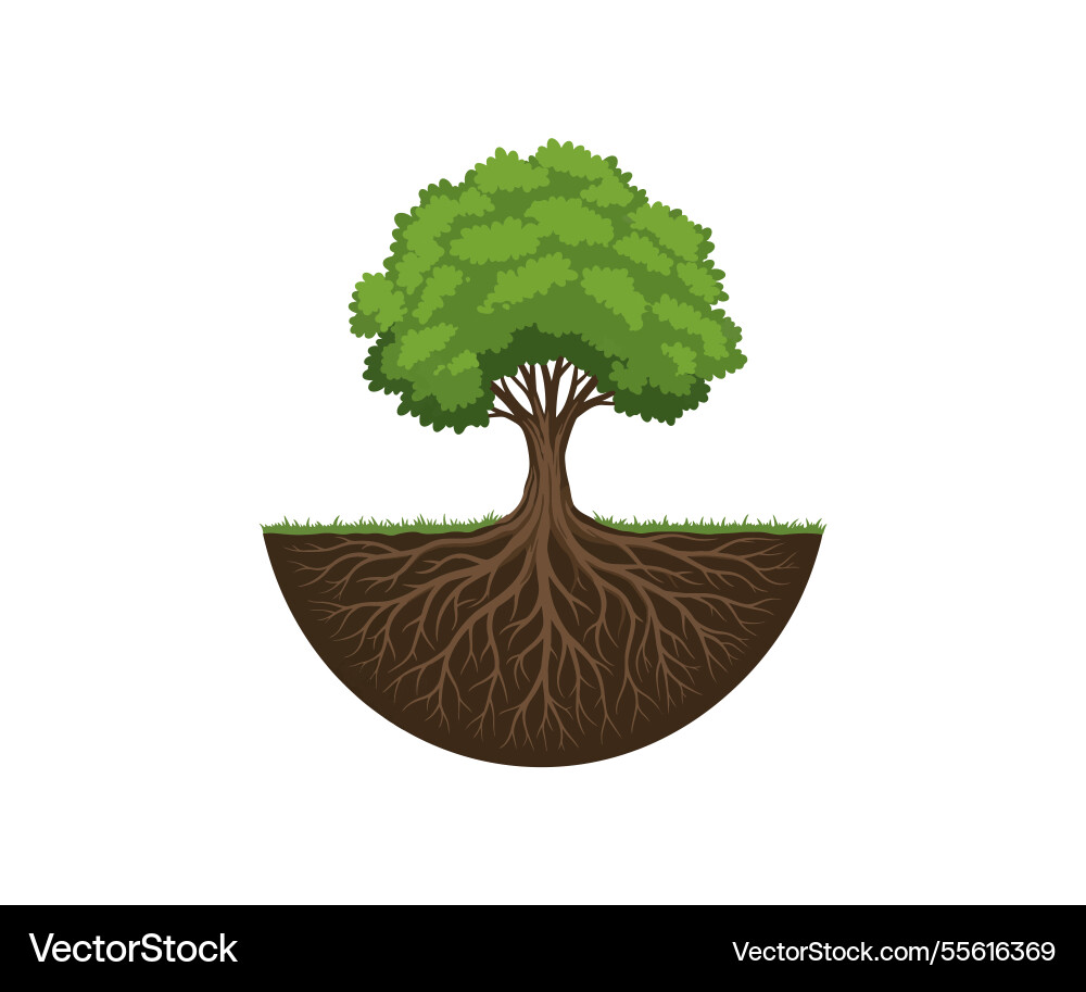 Roots tree and with round shape Roots tree and with round shape vector image