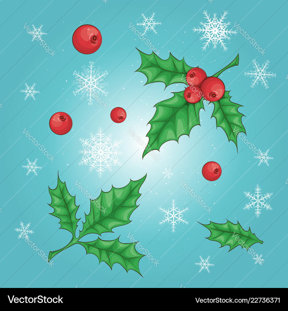 Christmas and new year holly berry icon collection Christmas and new year holly berry icon collection vector image