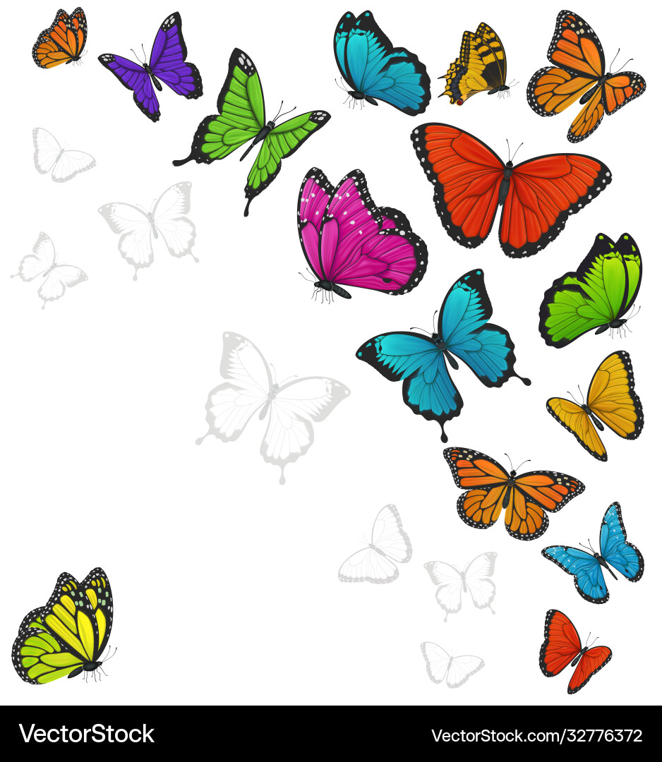 Colorful Butterfly Background Vector Image