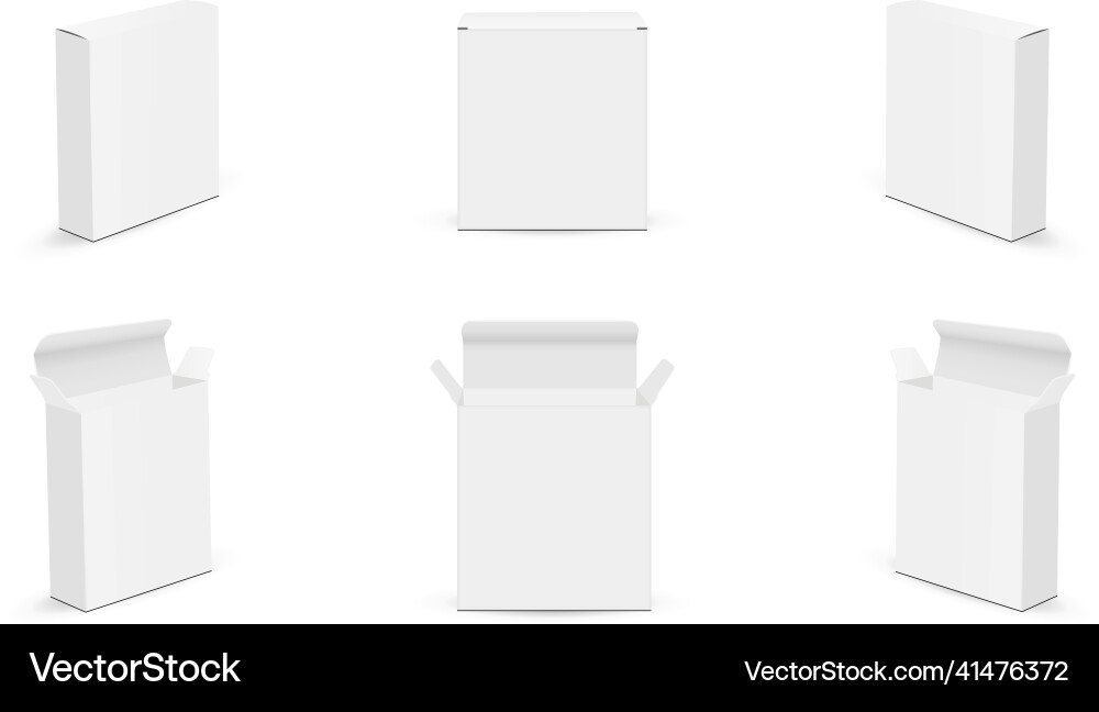 Rectangular boxes mockups opened closed Vector Image