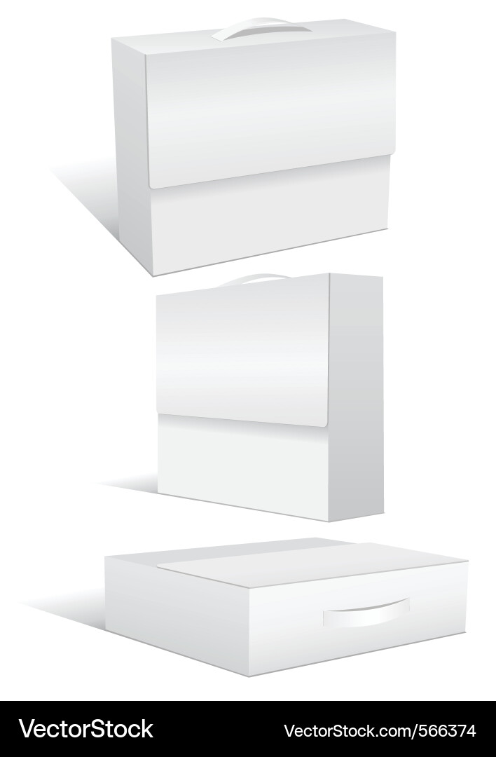 Empty Suitcase and Box Set vector image