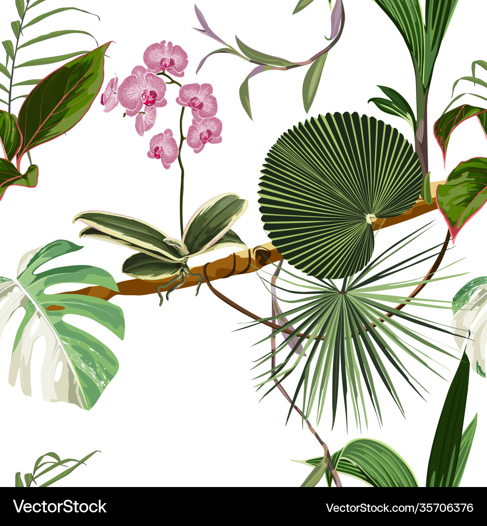 Exotische nahtlose Muster phalaenopsis Orchidee Exotische nahtlose Muster phalaenopsis Orchidee vektorbild
