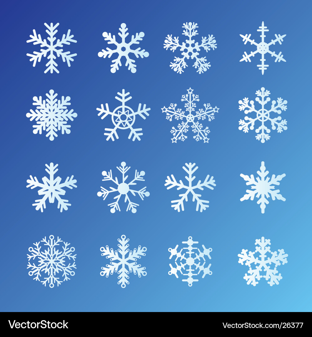 Beautiful Blue Snowflake Pattern vector image