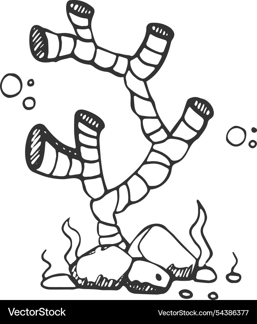Coral reef fauna doodle deep ocean life Vector Image