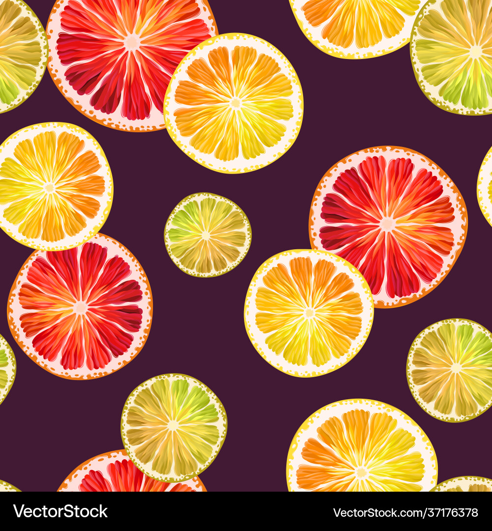 Seamless pattern with lemon lime and grapefruit vector image