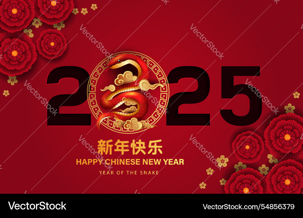 what decides chinese new year