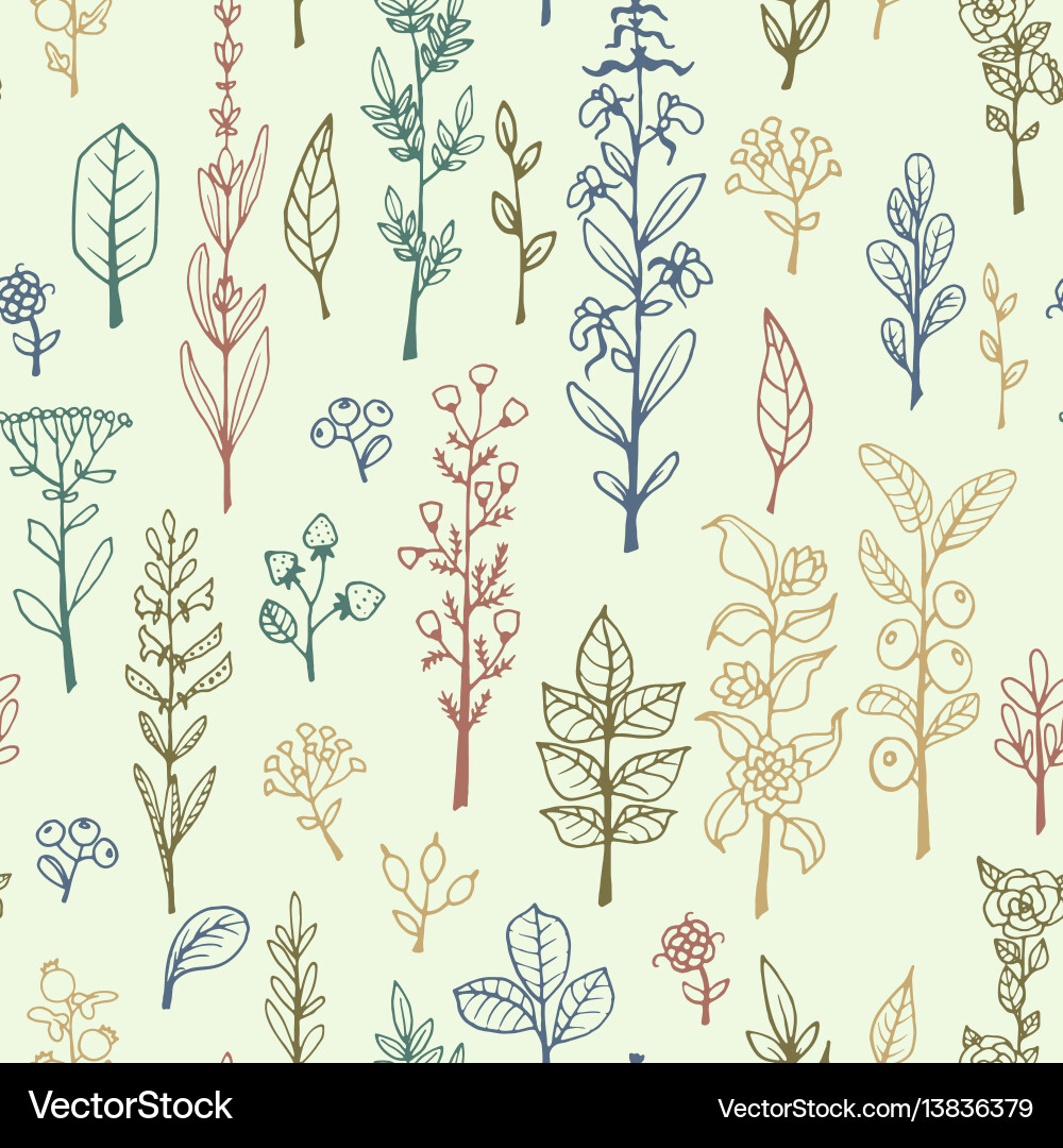 Seamless pattern with doodle herbs and flowers Seamless pattern with doodle herbs and flowers vector image
