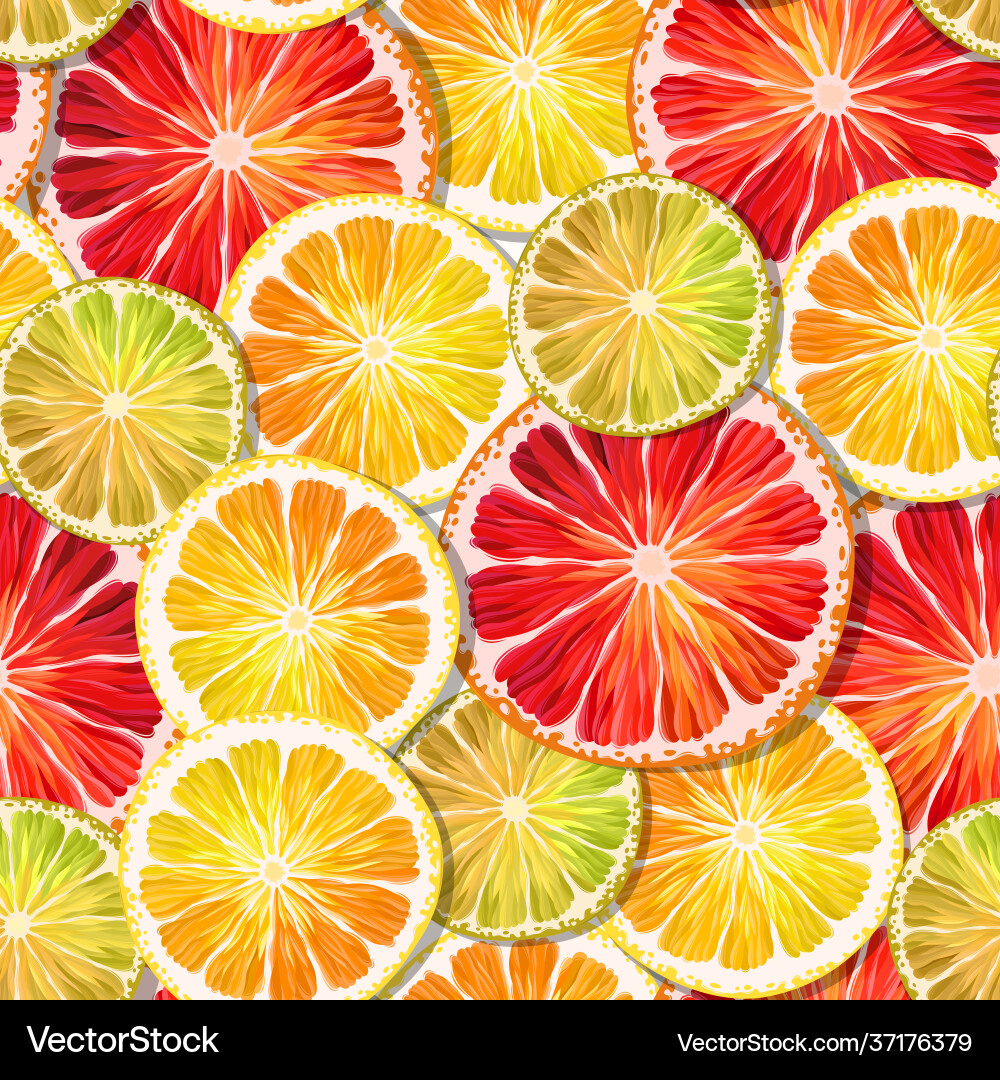 Seamless pattern with lemon lime and grapefruit vector image