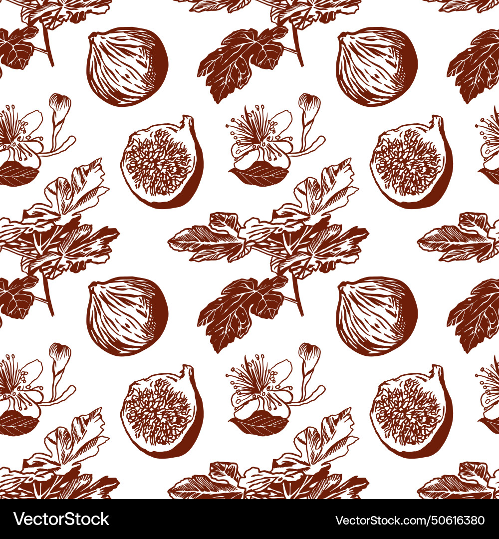 Fig graphics seamless pattern Fig graphics seamless pattern vector image
