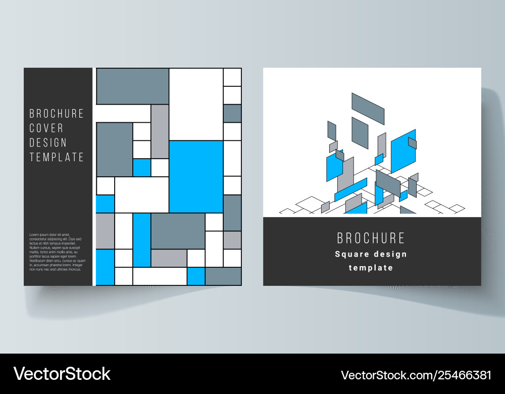 Minimal layout two square format Minimal layout two square format vector image