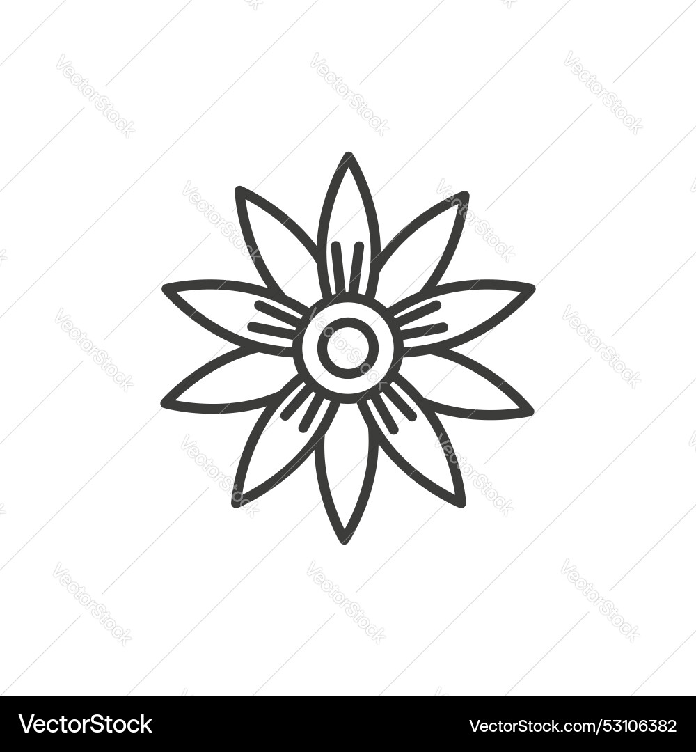Hypericum line icon isolated on white background Vector Image