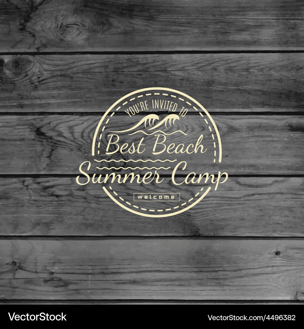 Summer Camp Badges & Labels vector image