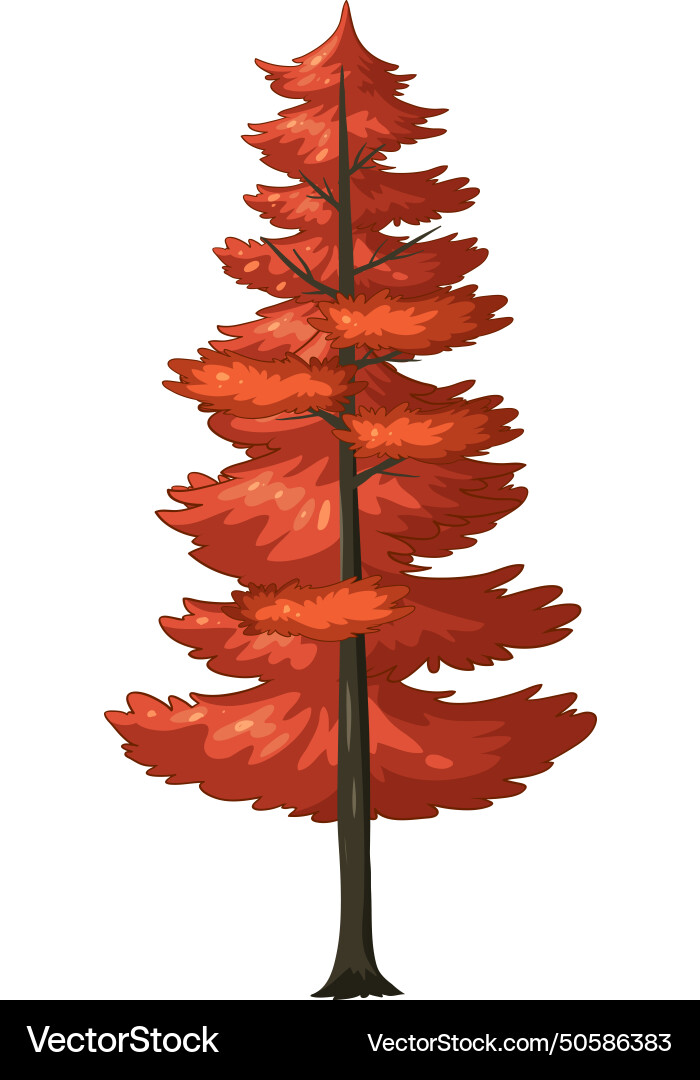 Graphic of a red pine tree in autumn vector image