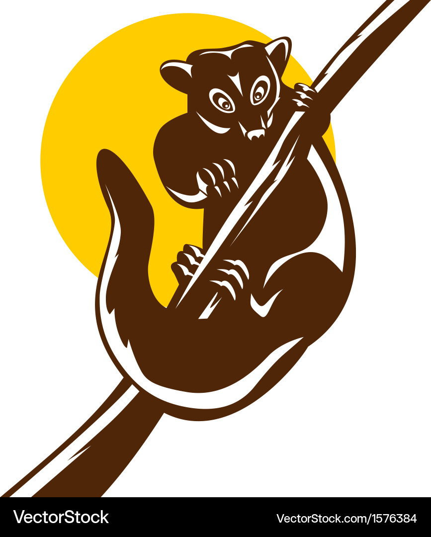 Possum on branch Vector Image