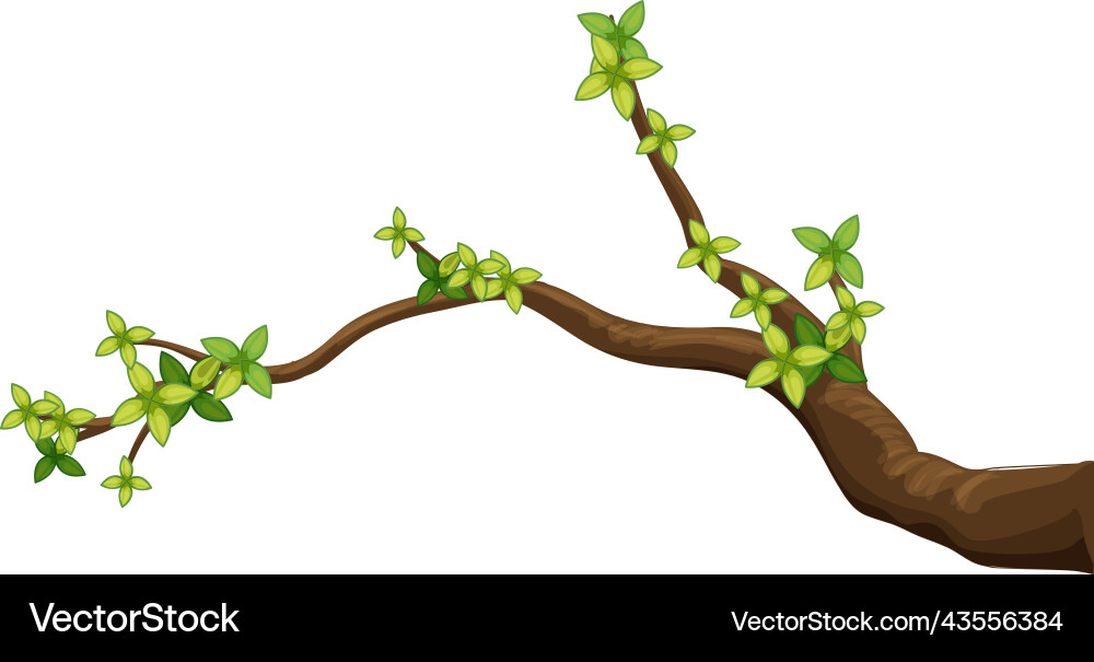 Tree branch isolated on white background Vector Image
