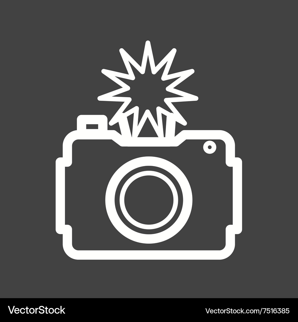 Camera click Vector Image