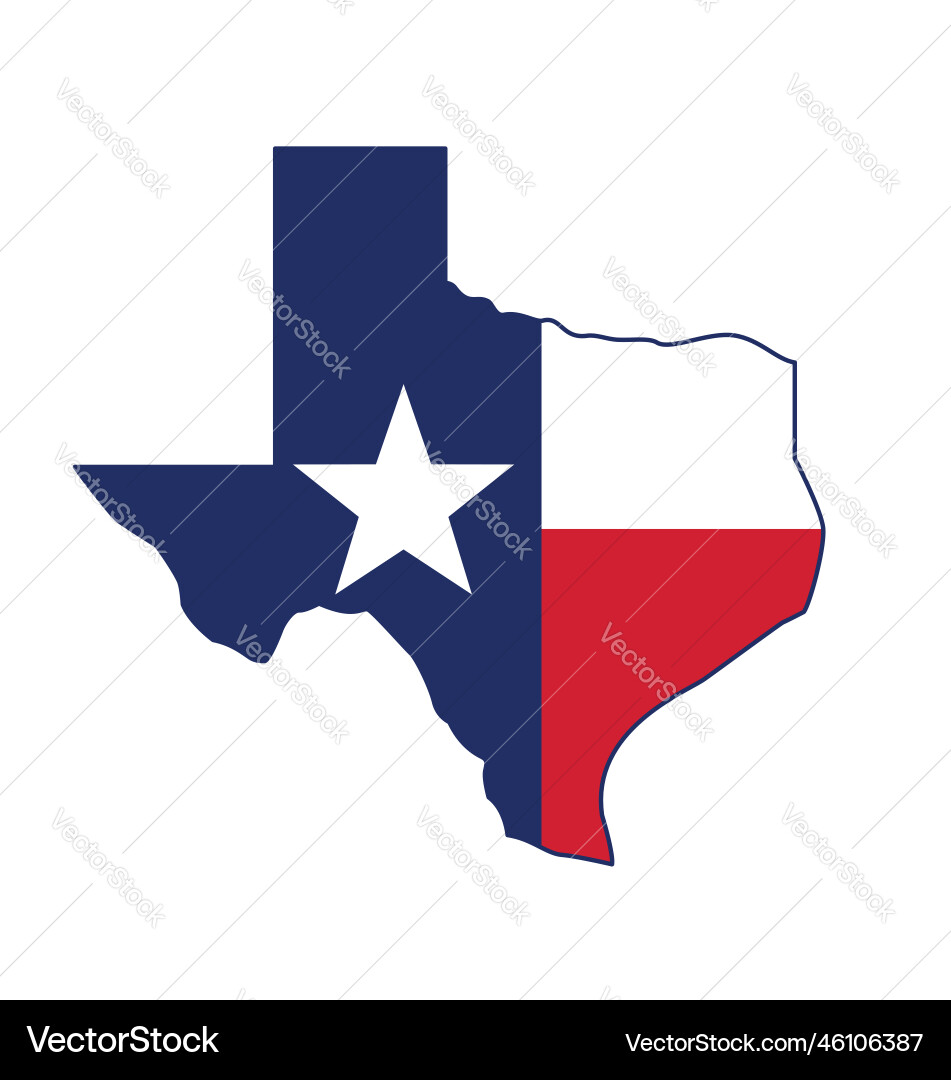 Texas State Flag Icon vector image