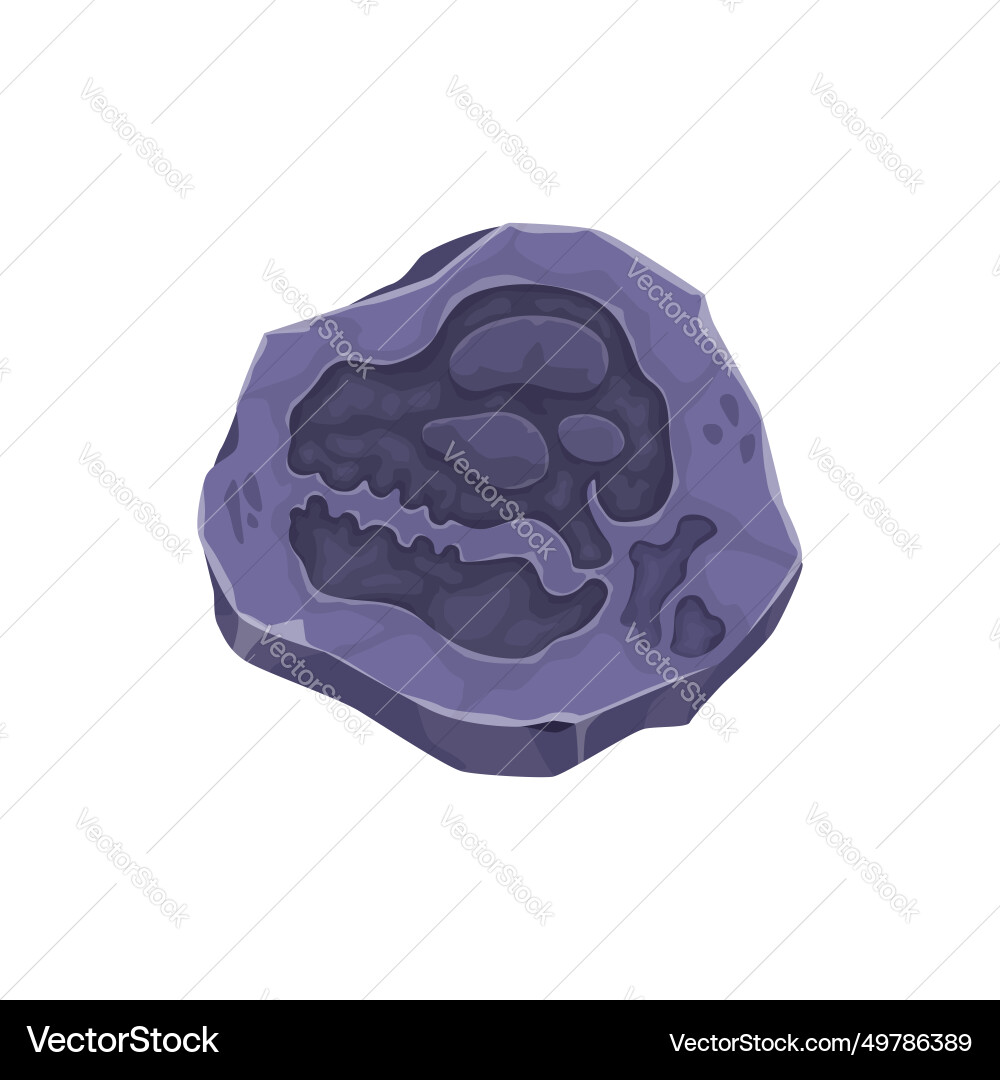 Ancient dinosaur reptile isolated fossil in stone Ancient dinosaur reptile isolated fossil in stone vector image