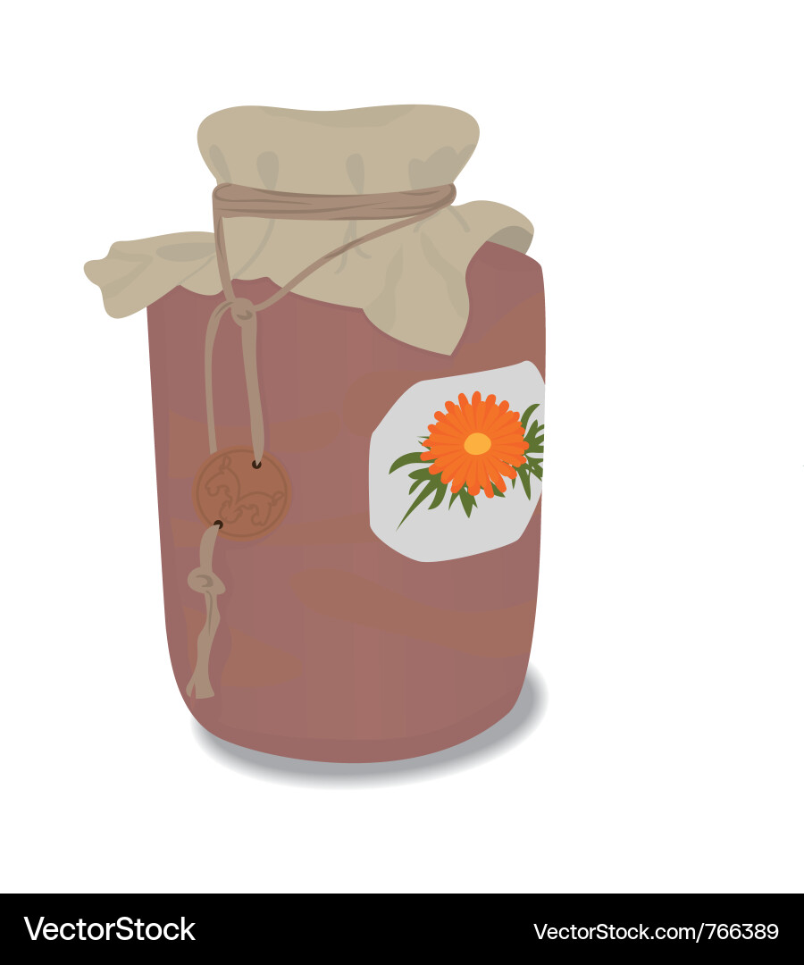 Rustic Clay Jar with Calendula Vector Image