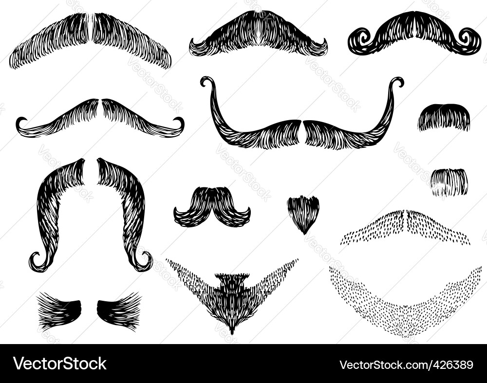 Vintage Moustache Illustrations Vector Image