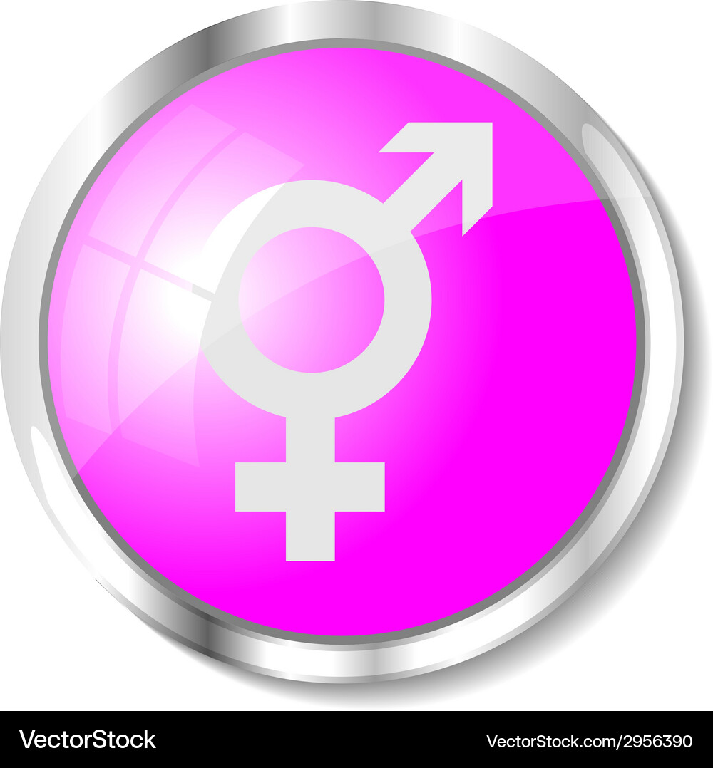 Pink web button Vector Image