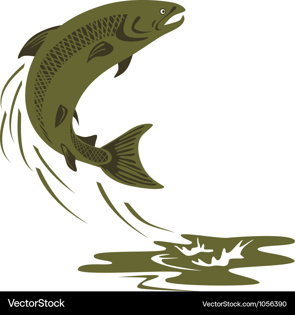 Retro Trout Fish vector image