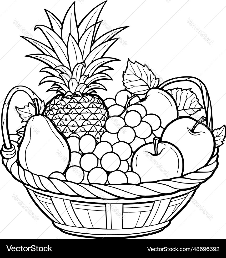 fruit 