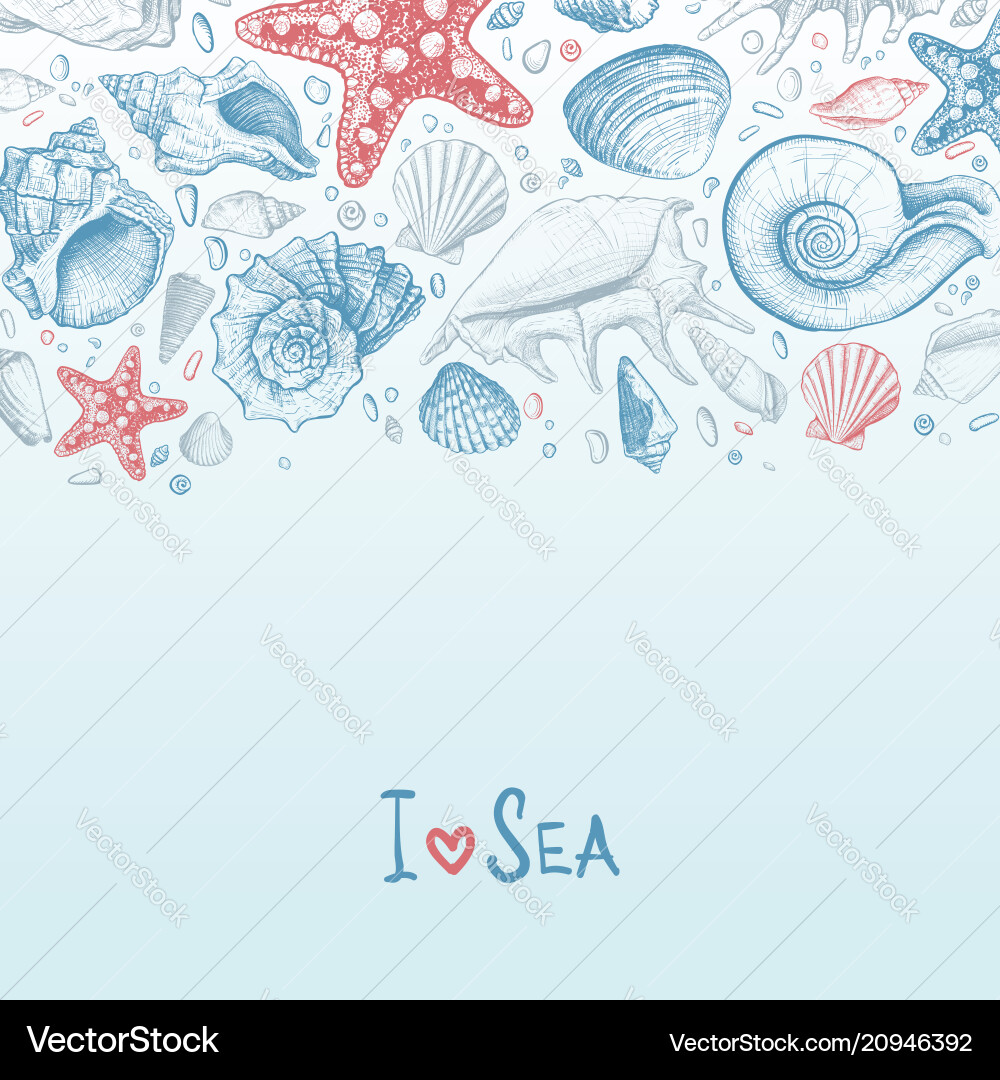 Background with seashells Royalty Free Vector Image