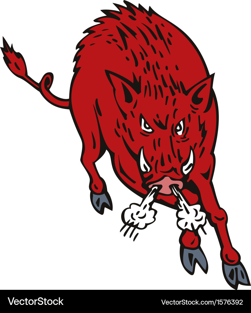 Wild pig boar jumping Vector Image