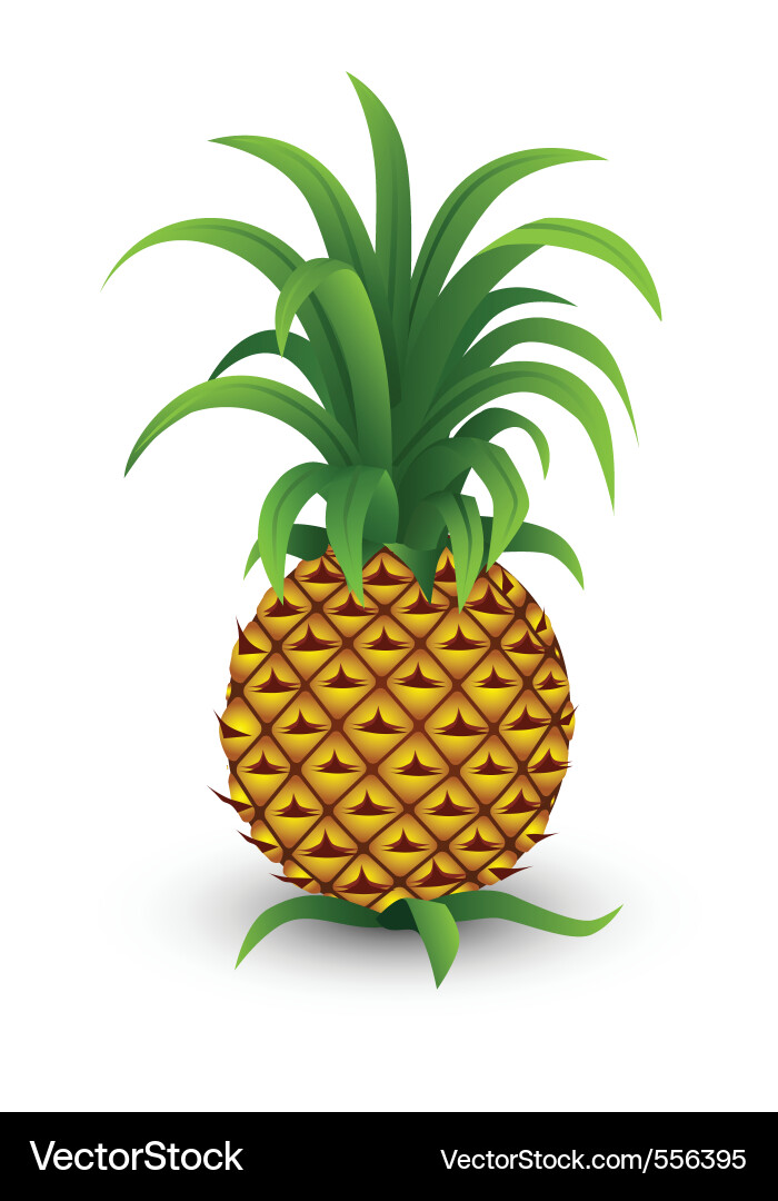 Cartoon Pineapple Fruit Royalty Free Vector Image
