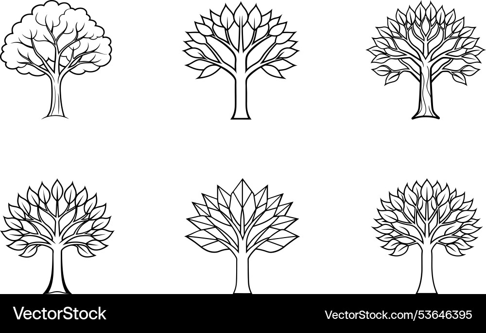 Understanding set of trees disjoint acyclic graph vector image