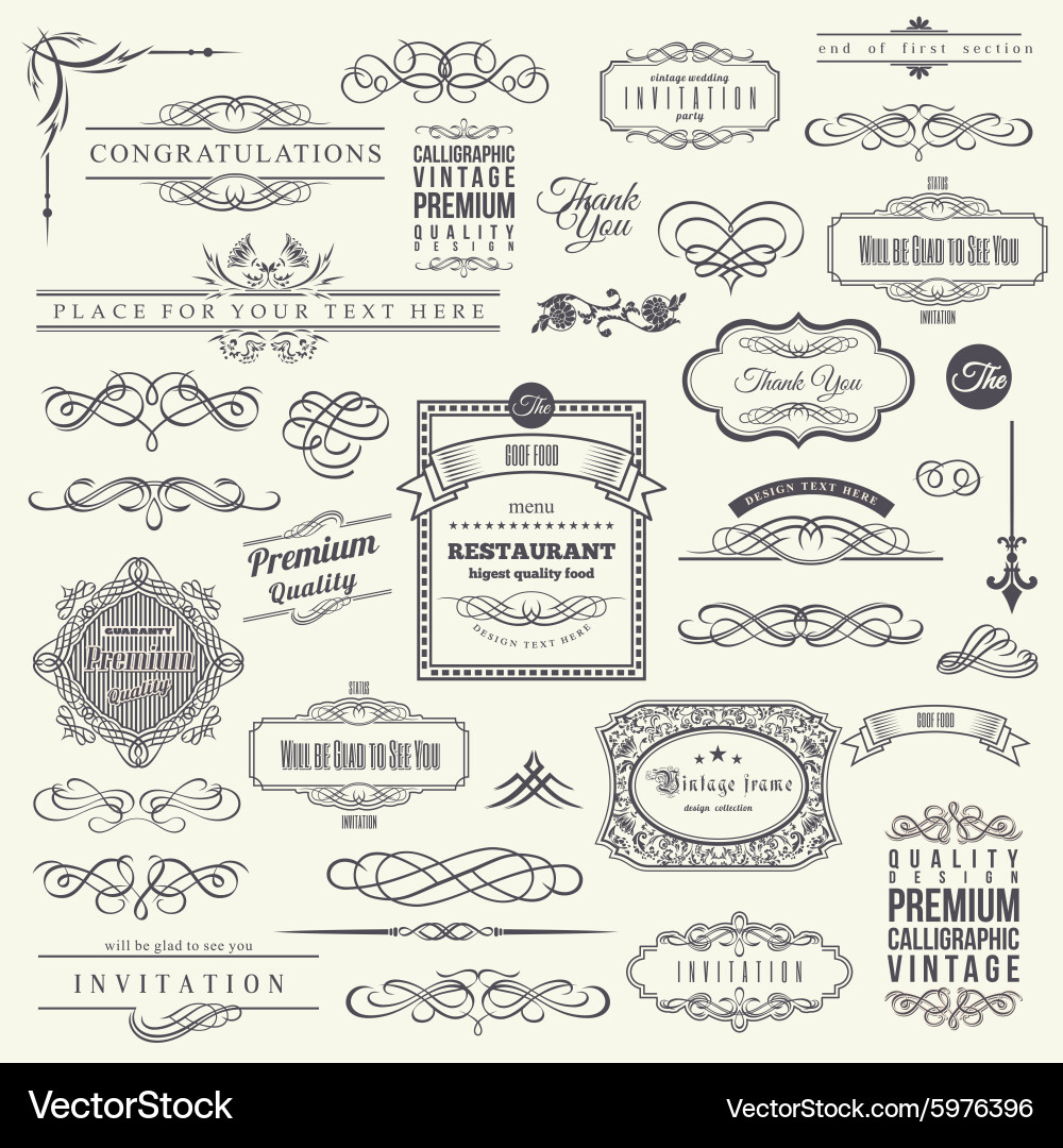 Elegant Calligraphic Border Elements vector image
