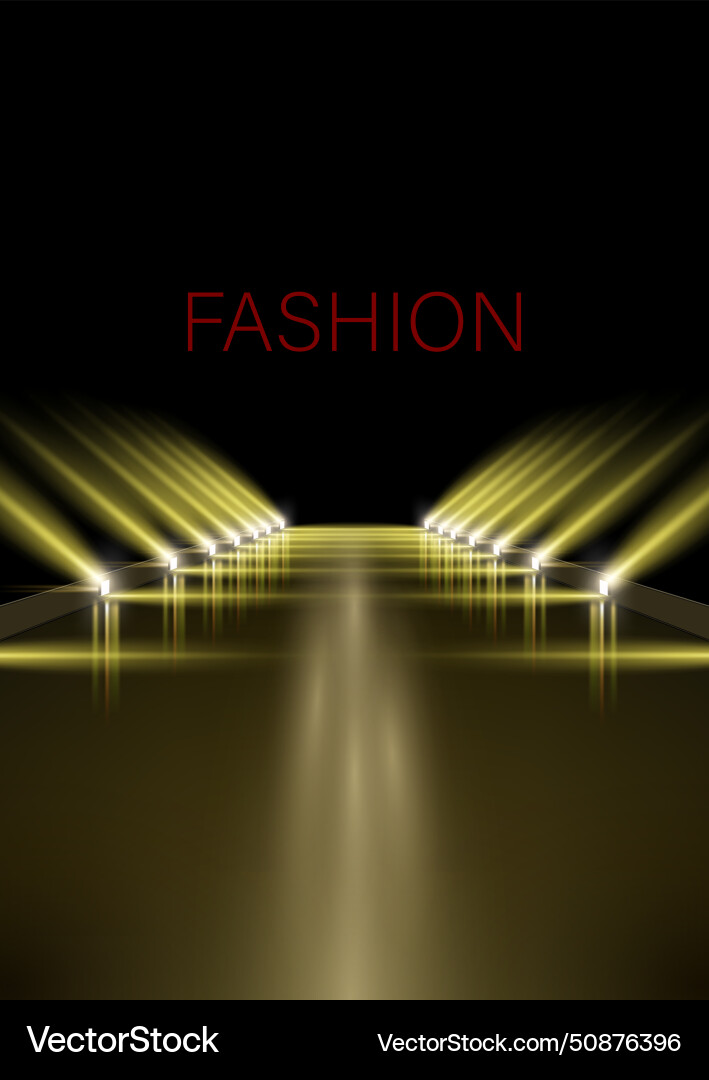 Runway for fashion shows vector image