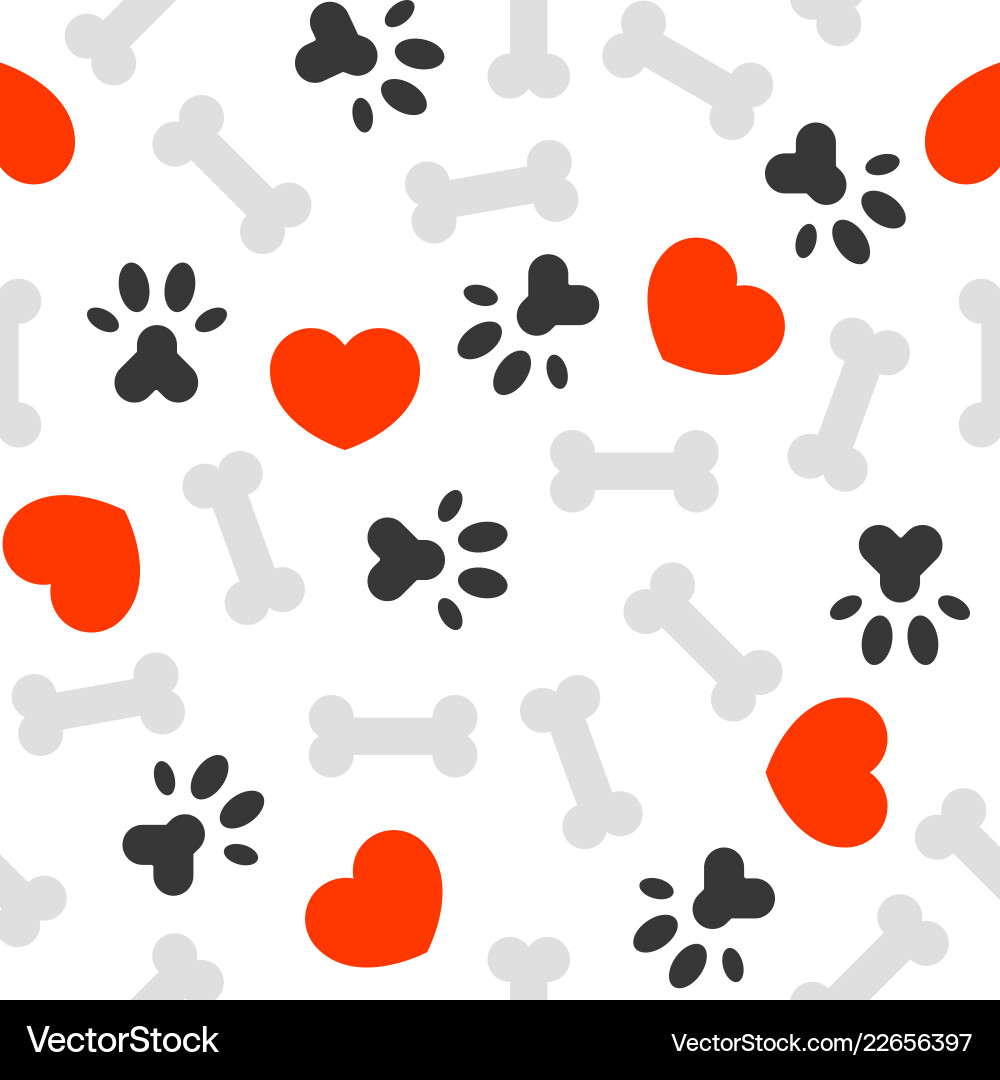 Dog Bone Paw Print Pattern Vector Image