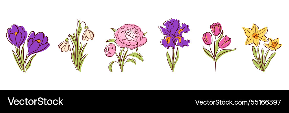 Spring flower set with crocus snowdrop peony Vector Image