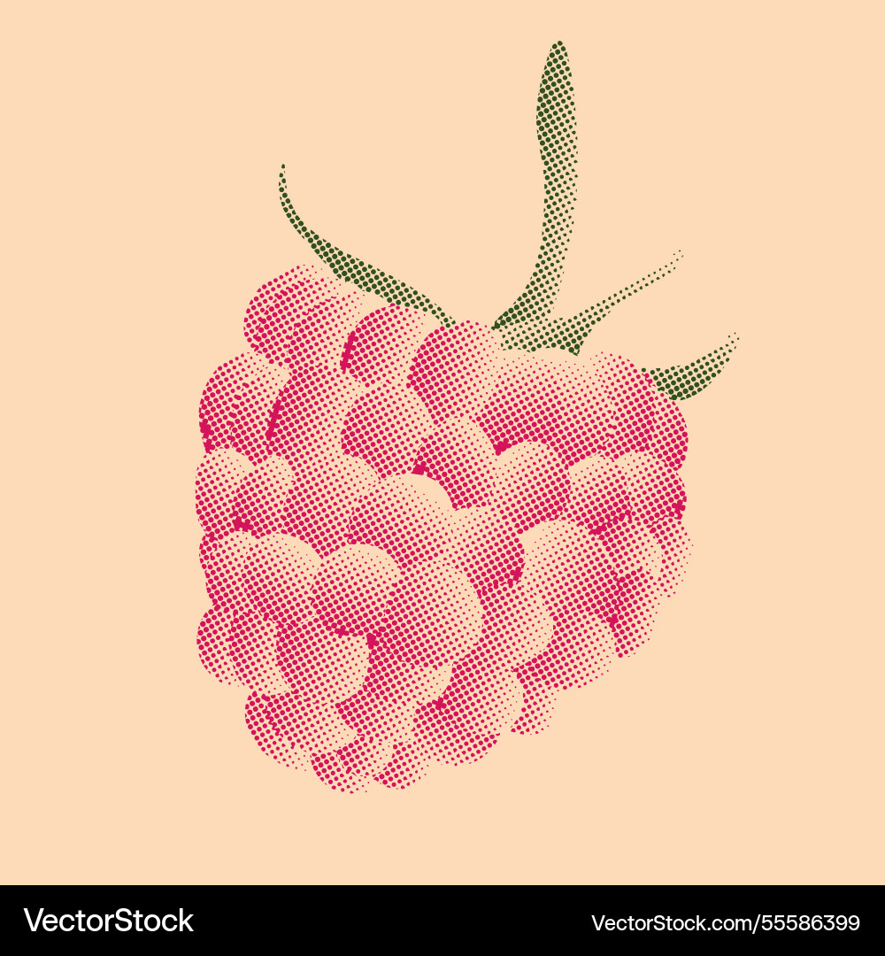 Raspberry in pixel art style Raspberry in pixel art style Vector Image