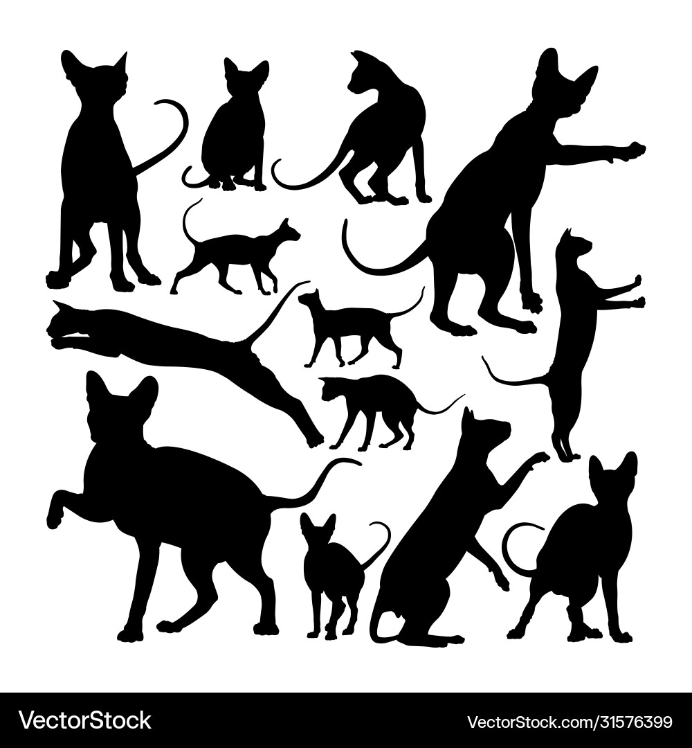 Sphynx Cat Silhouettes - Animal Art vector image