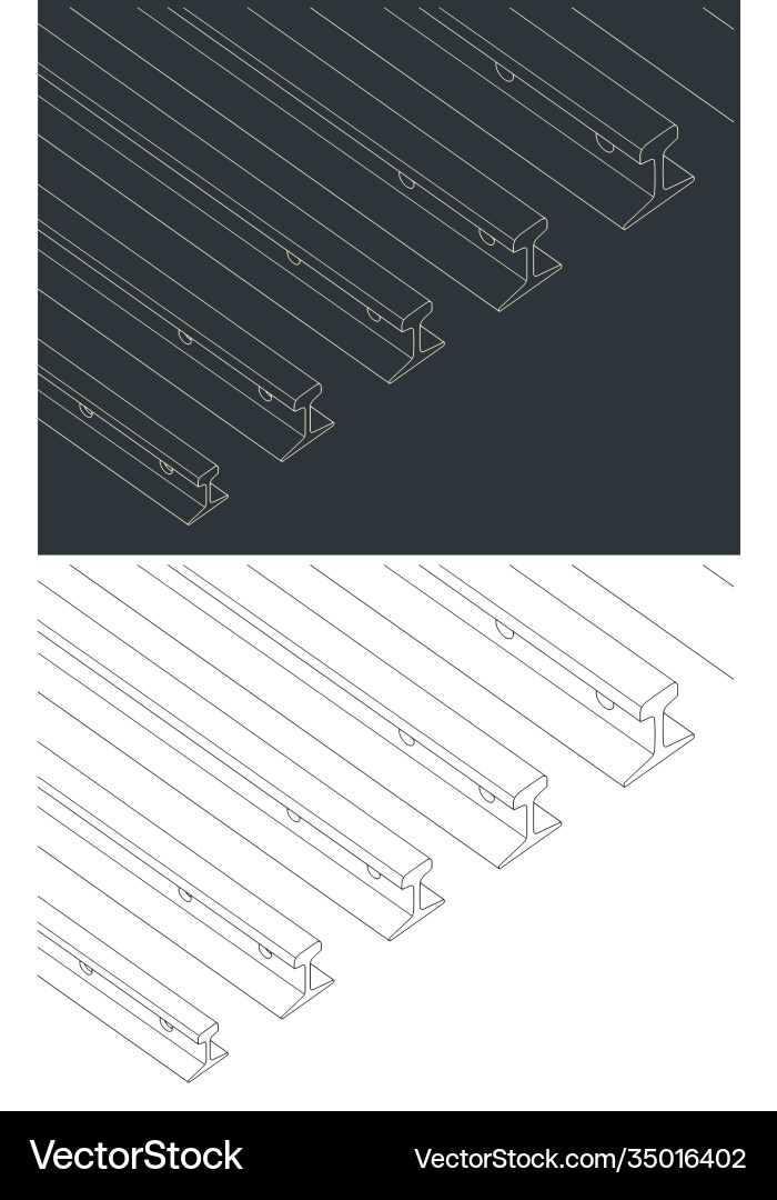 Different sizes rails vector image