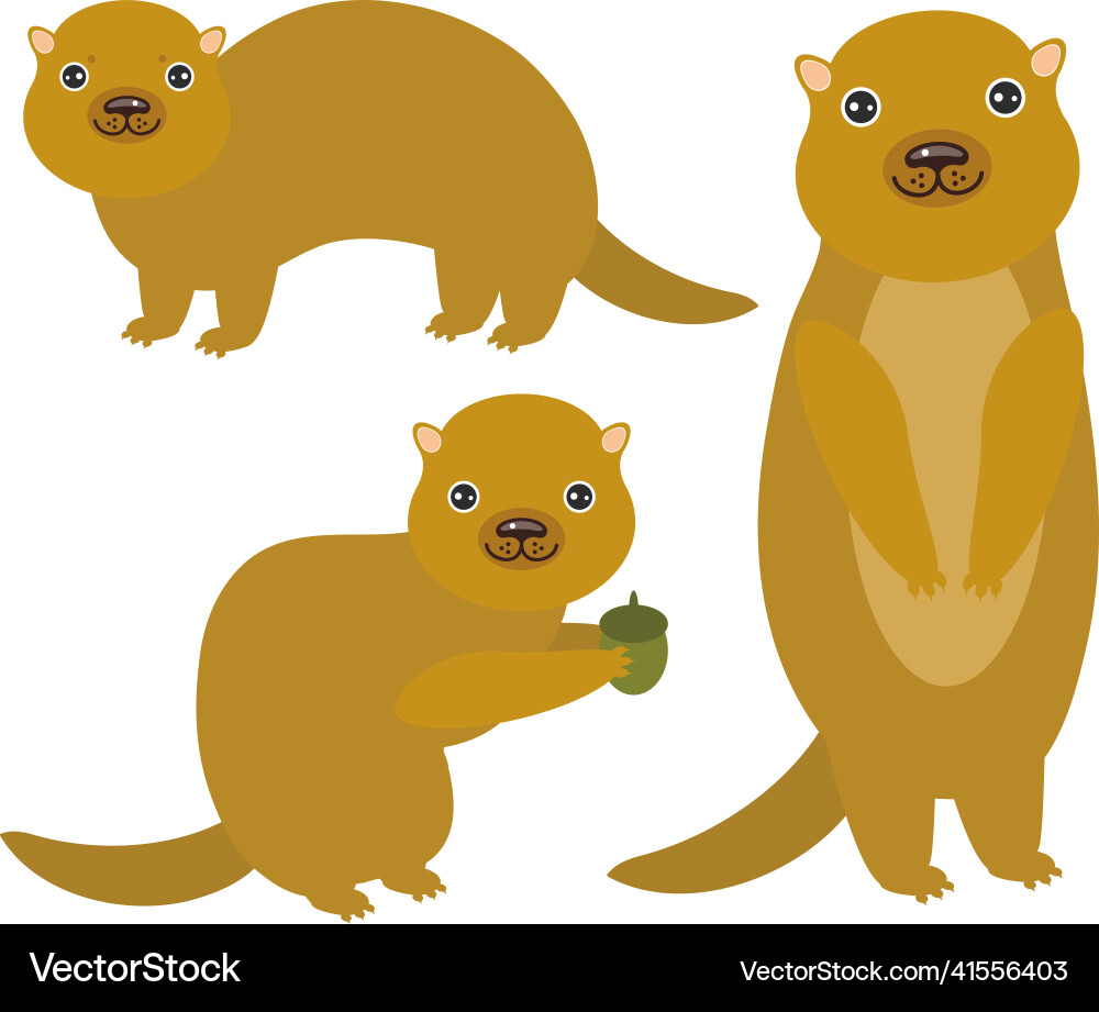 Set of funny gopher ground squirrel isolated Set of funny gopher ground squirrel isolated vector image