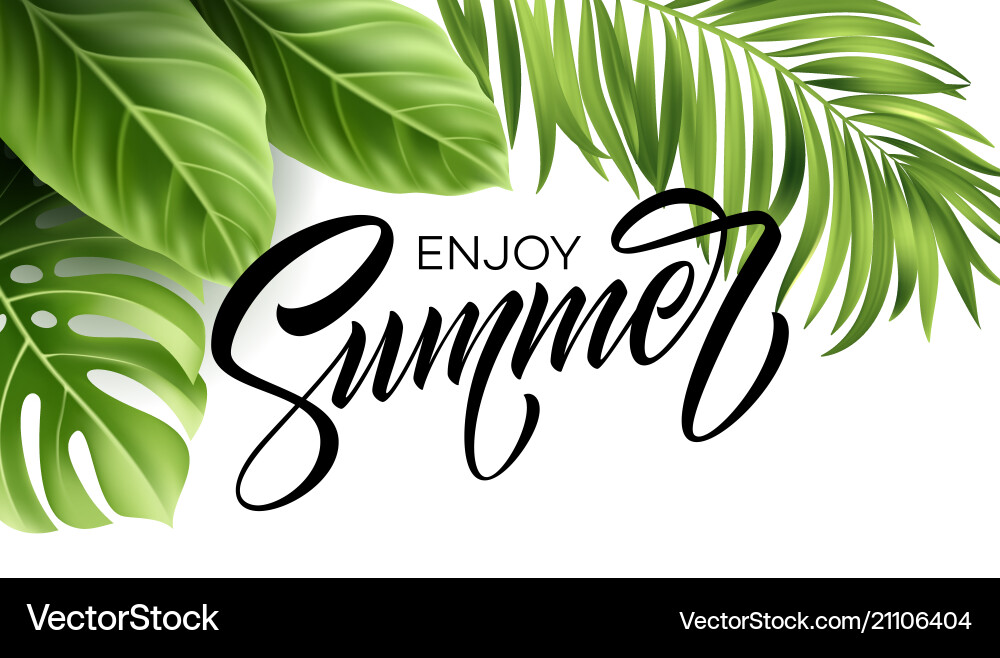 Summer poster with tropical palm leaf Summer poster with tropical palm leaf vector image