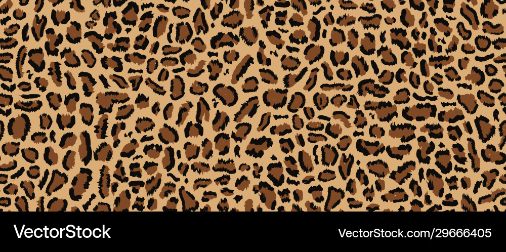 Leopard Seamless Pattern vector image